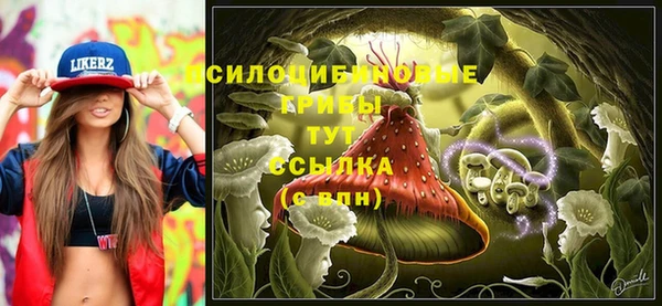 спиды Кинешма