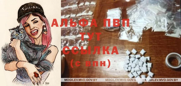 спиды Кинешма